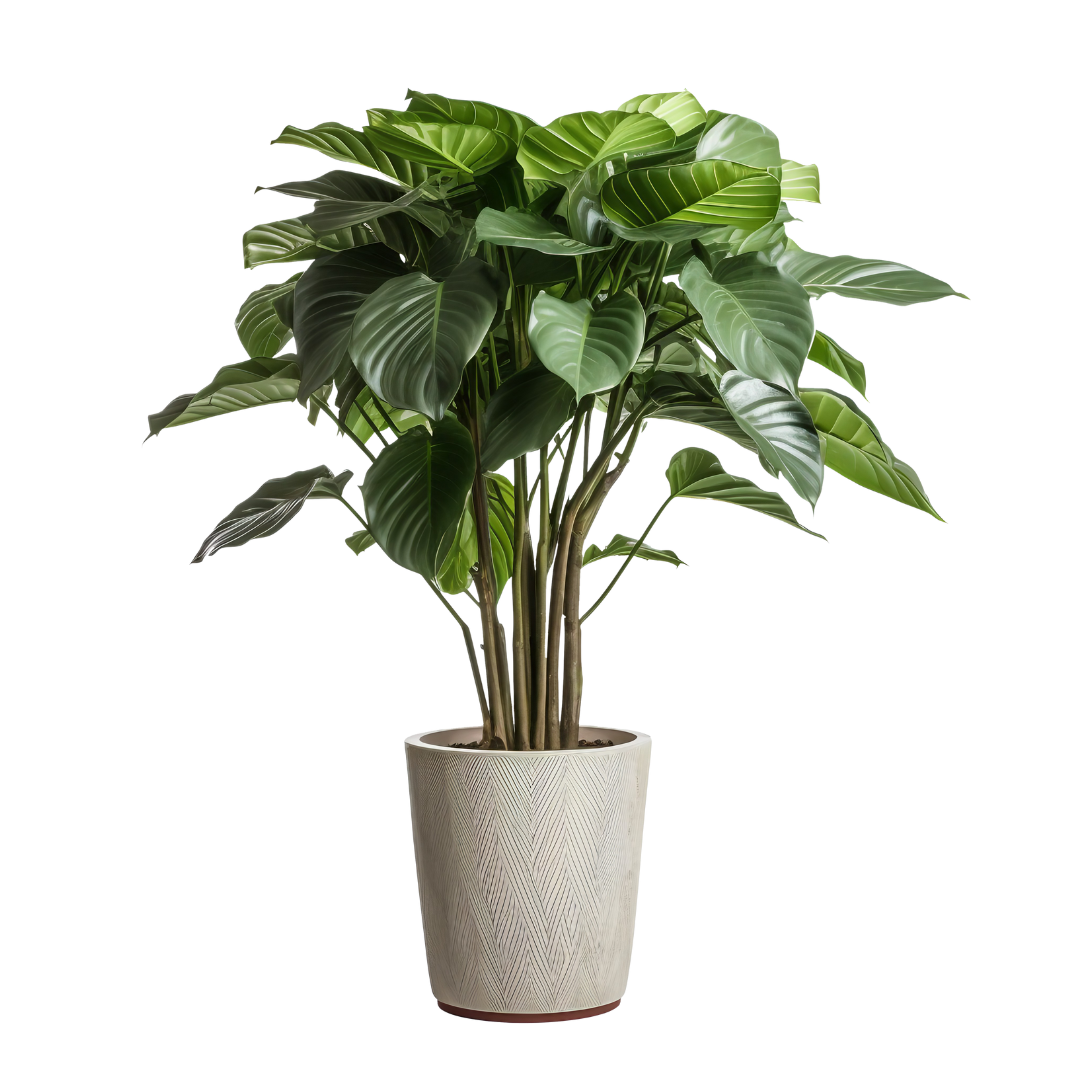 digital (1080 x 1080 px) (3)