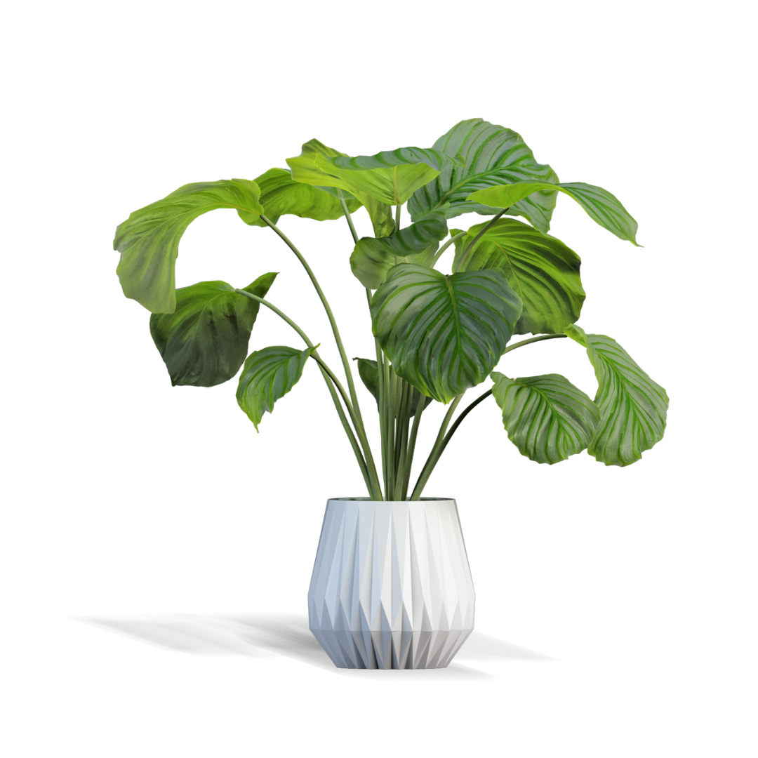 digital (1080 x 1080 px)